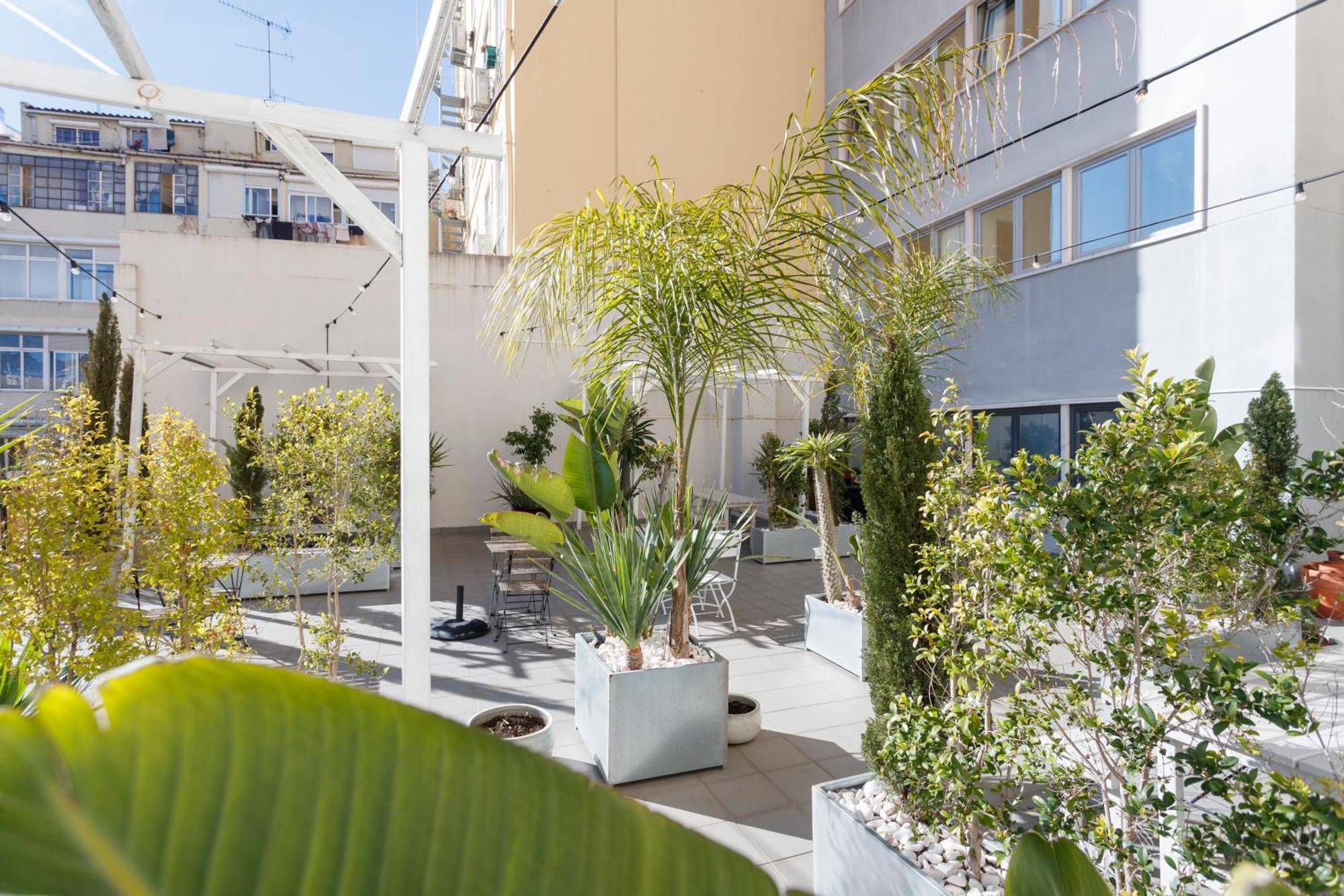 Mojito Breeze In By Misha's Place 3c Apartment *